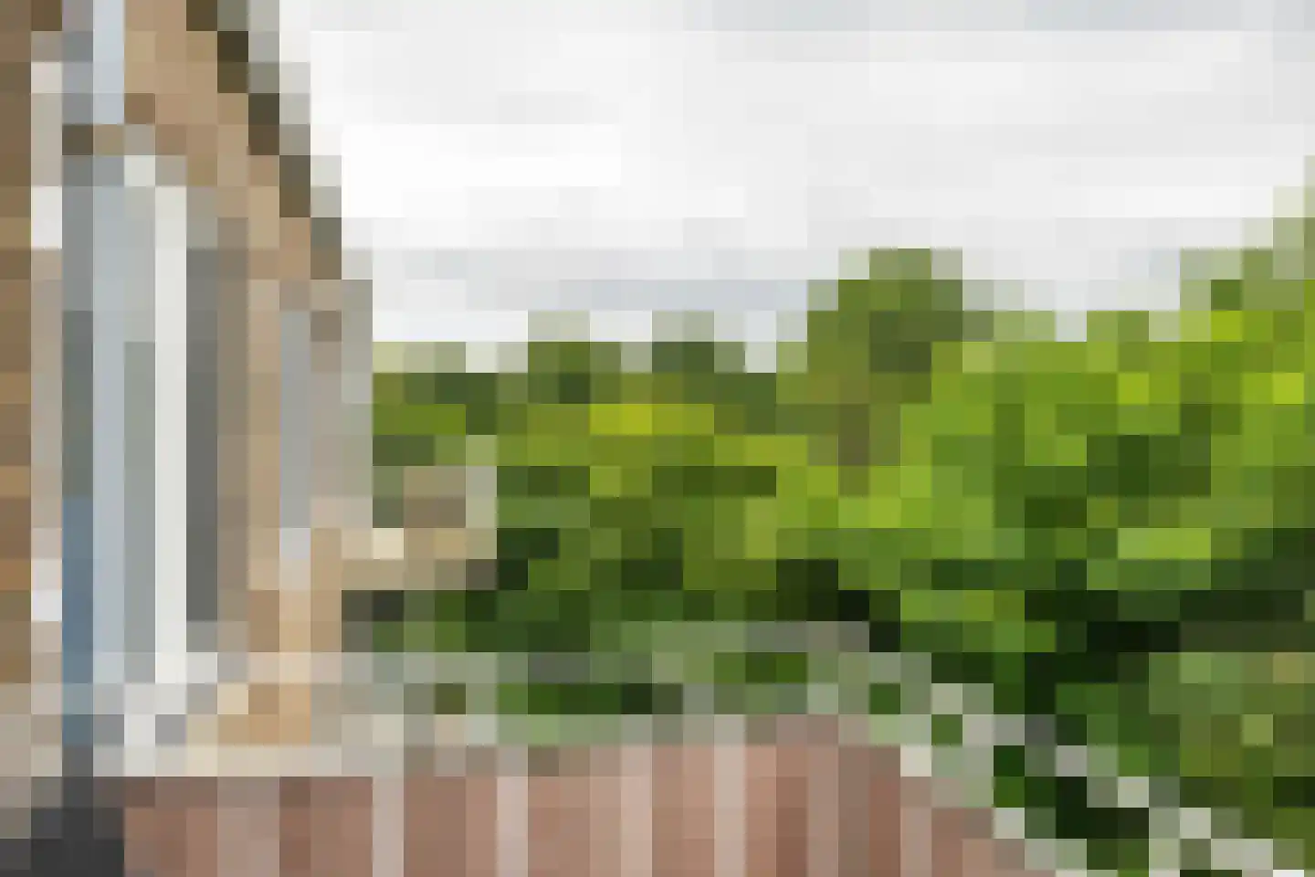 Peizerweg 70 25 Groningen thumbnail 15