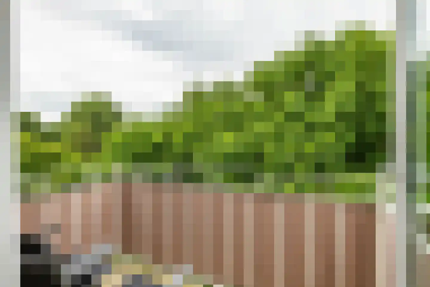 Peizerweg 70 25 Groningen thumbnail 16