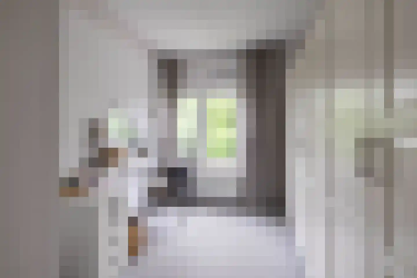Peizerweg 70 25 Groningen thumbnail 28