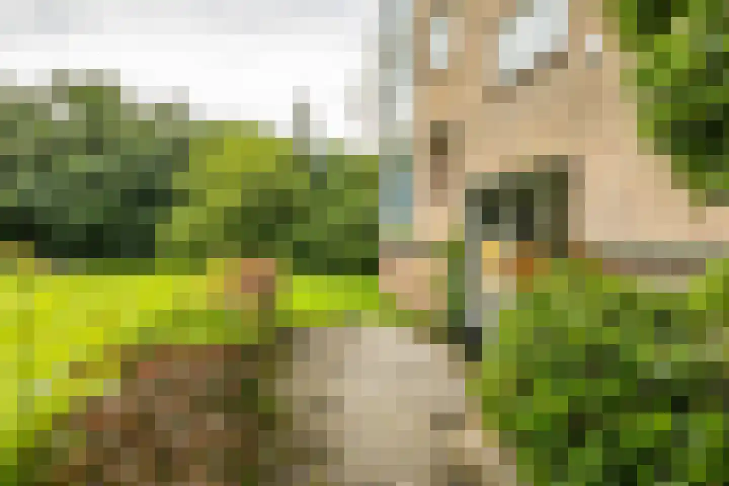 Peizerweg 70 25 Groningen thumbnail 6