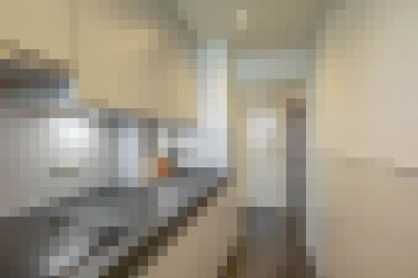 Peizerweg 70 6 Groningen thumbnail 15