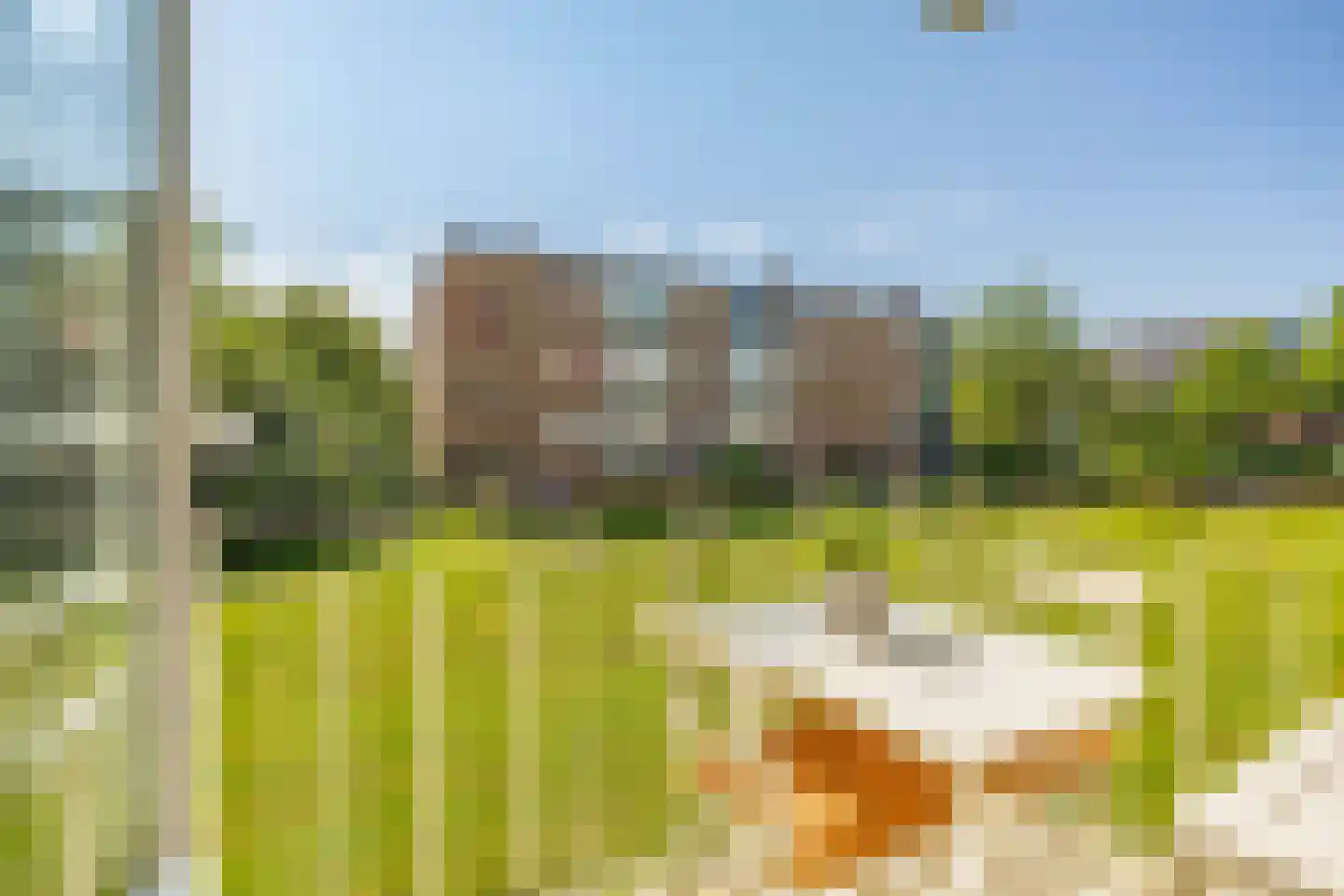 Peizerweg 70 6 Groningen thumbnail 9