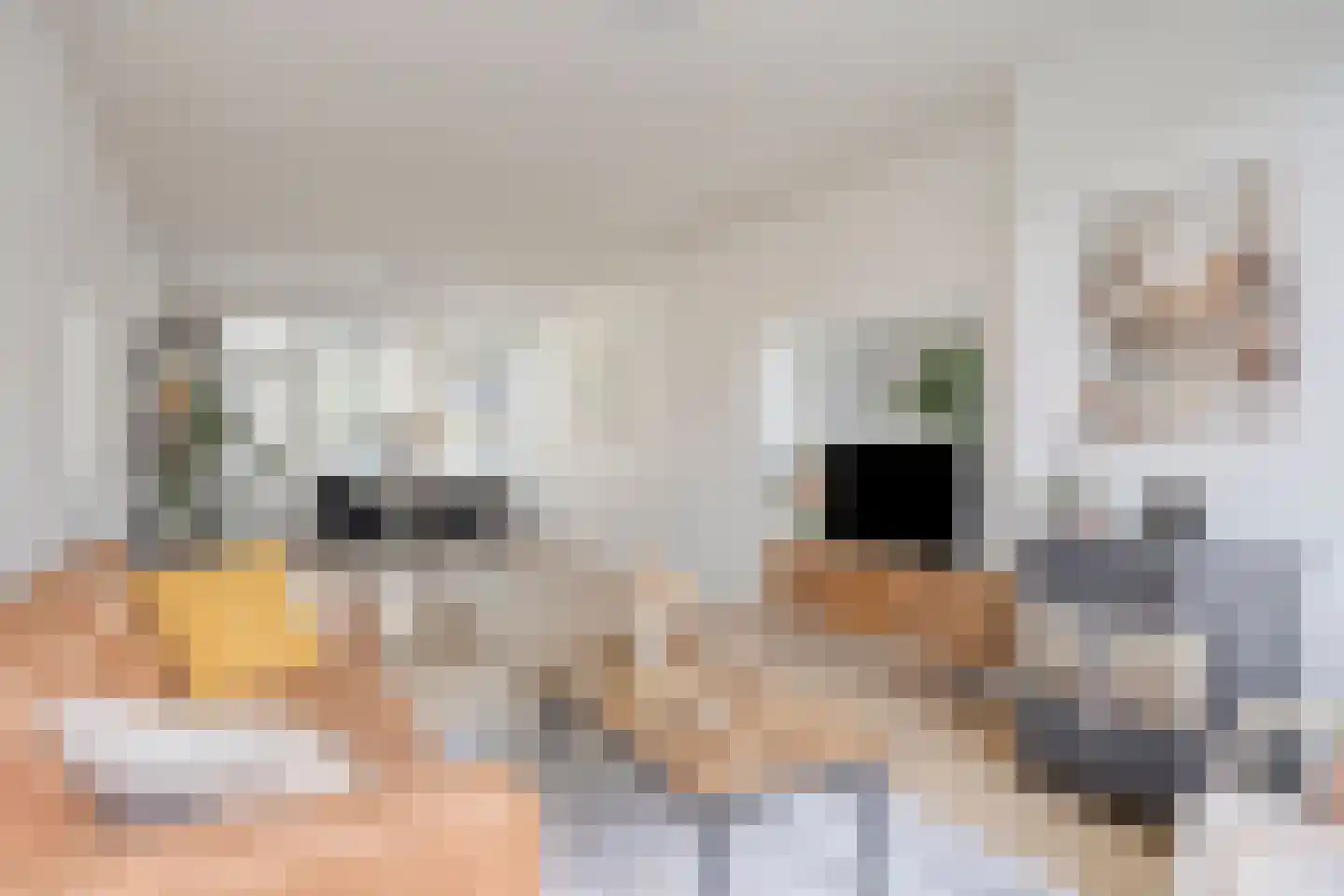 Peizerweg 70 8 Groningen thumbnail 16