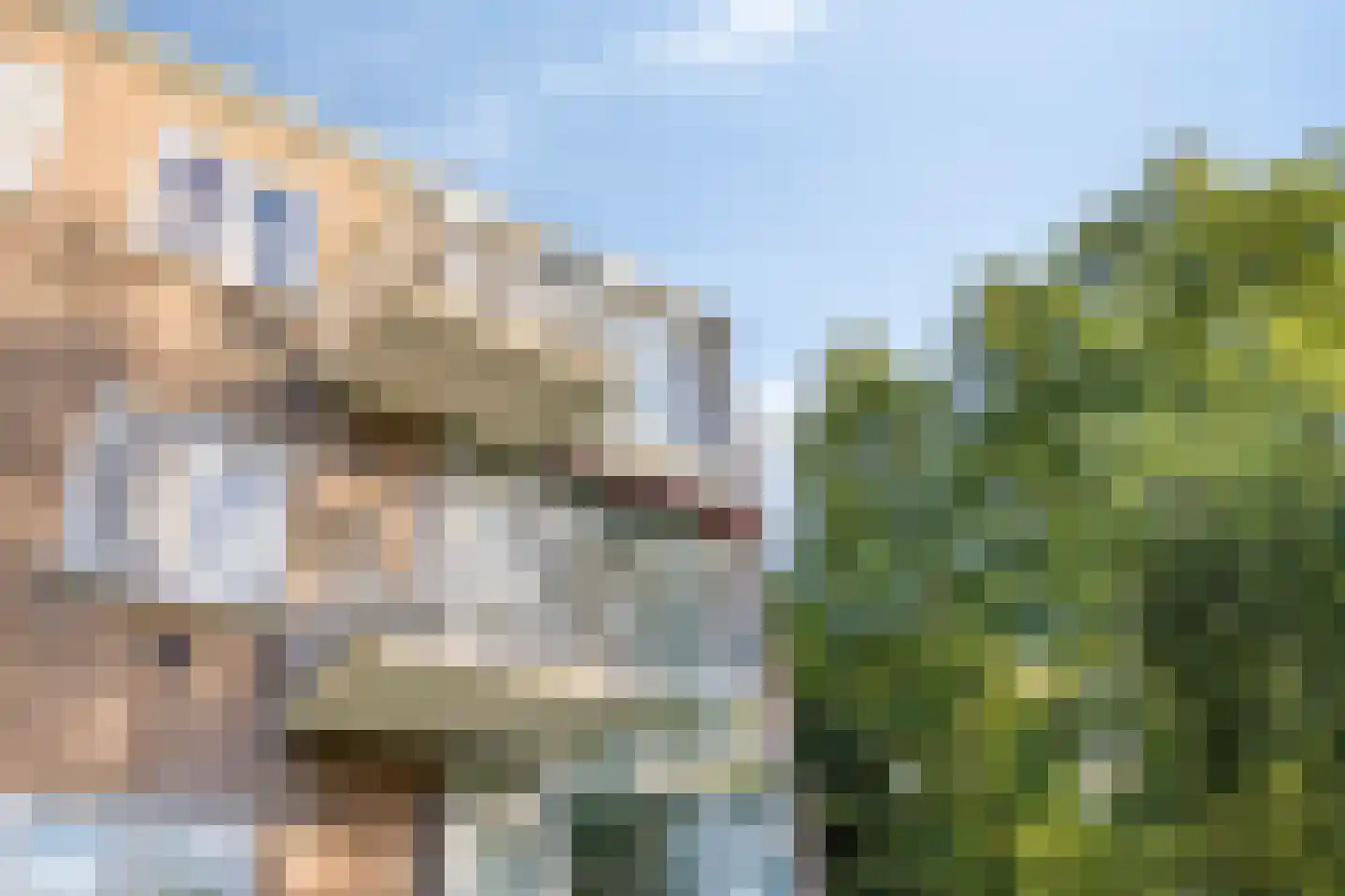 Peizerweg 70 8 Groningen thumbnail 31