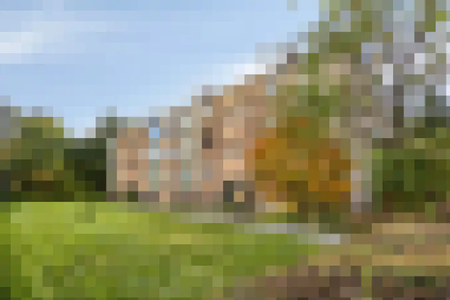 Peizerweg 70 8 Groningen thumbnail 33