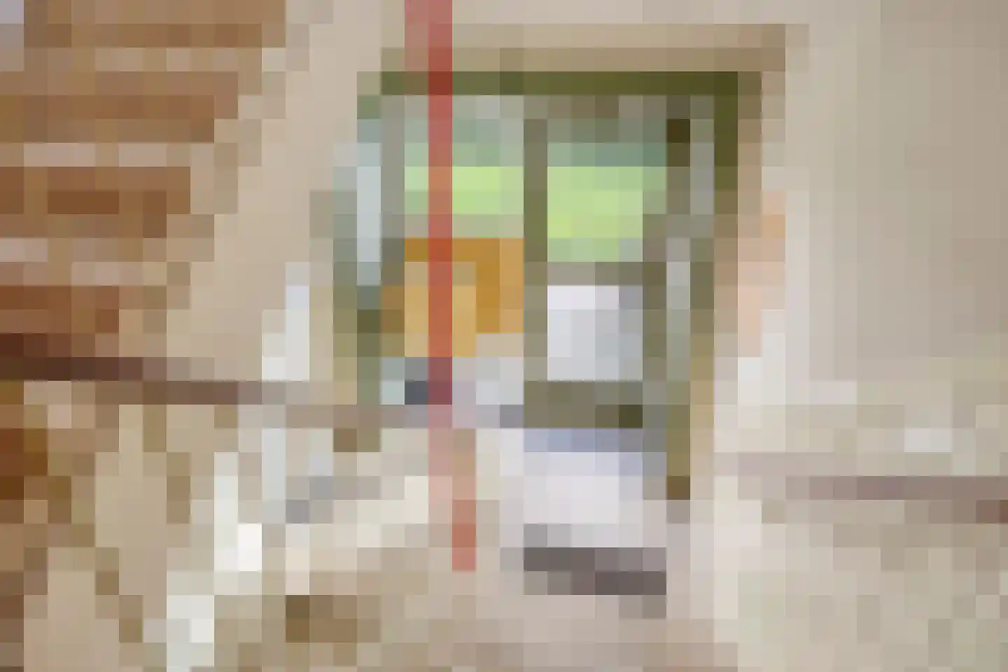 Peizerweg 70 8 Groningen thumbnail 8