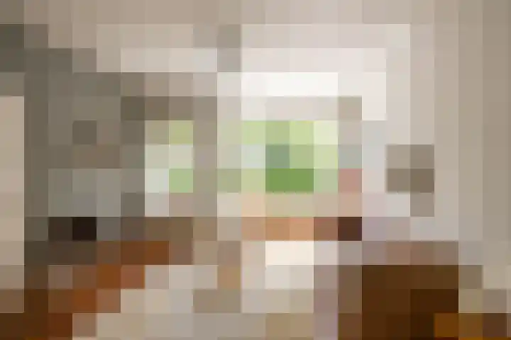 Peizerweg 73 Groningen thumbnail 10