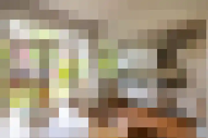 Peizerweg 73 Groningen thumbnail 18