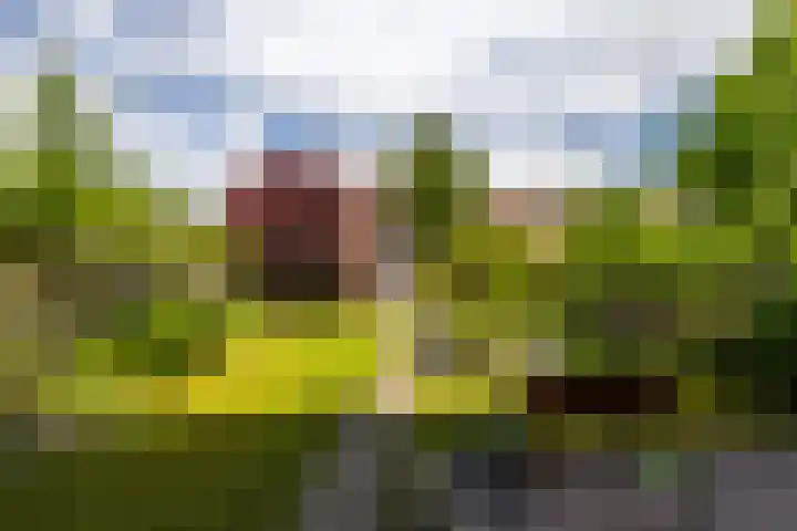 Peizerweg 73 Groningen thumbnail 36