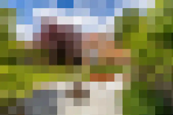 Peizerweg 73 Groningen thumbnail 37