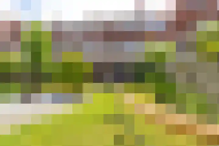 Peizerweg 73 Groningen thumbnail 38