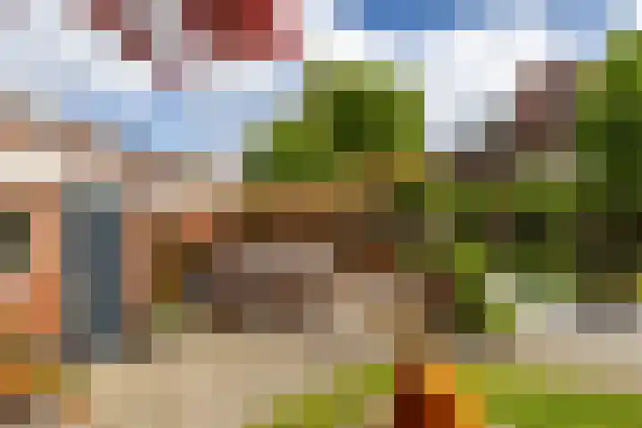 Peizerweg 73 Groningen thumbnail 39