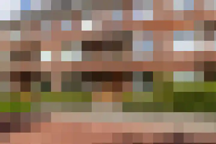 Peizerweg 73 Groningen thumbnail 4