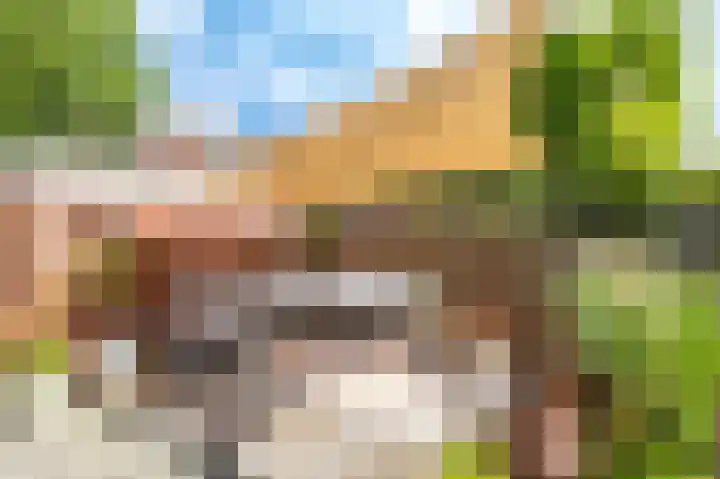 Peizerweg 73 Groningen thumbnail 40