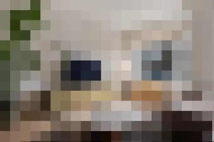 Peizerweg 79 Groningen thumbnail 35
