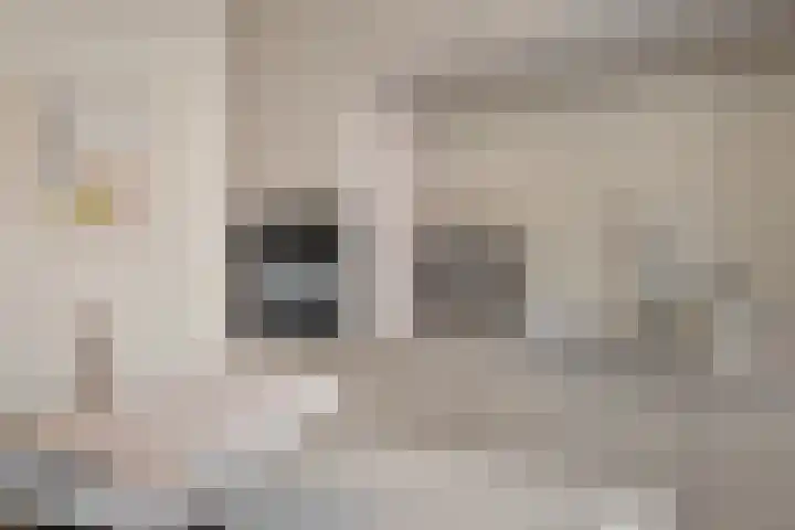 Peizerweg 79 Groningen thumbnail 39