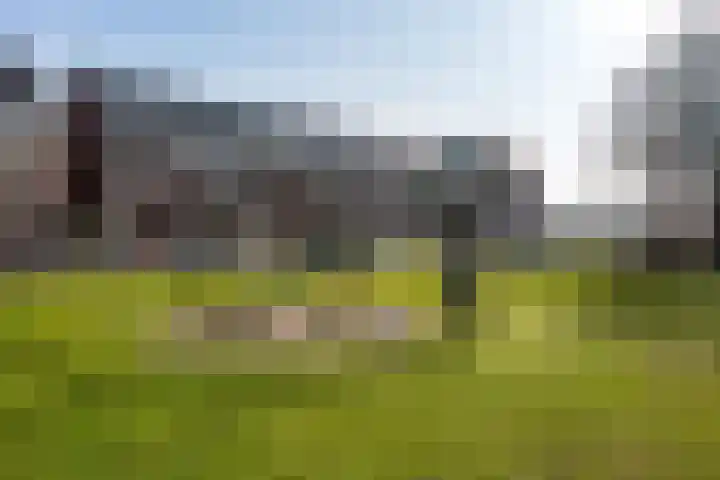Peizerweg 79 Groningen thumbnail 49