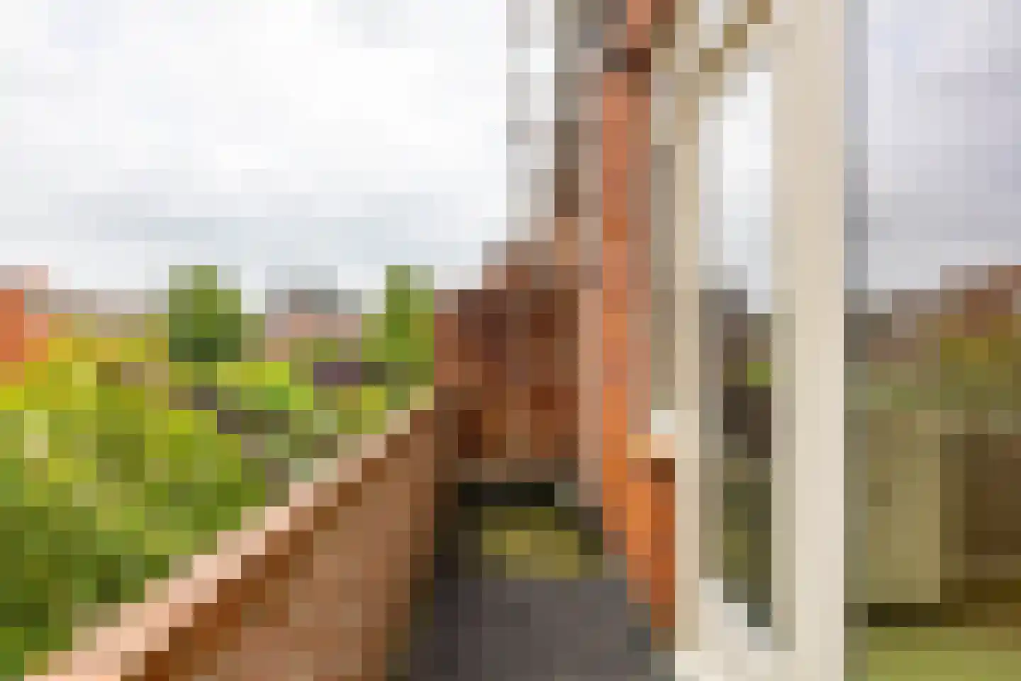 Peizerweg 83 b Groningen thumbnail 27