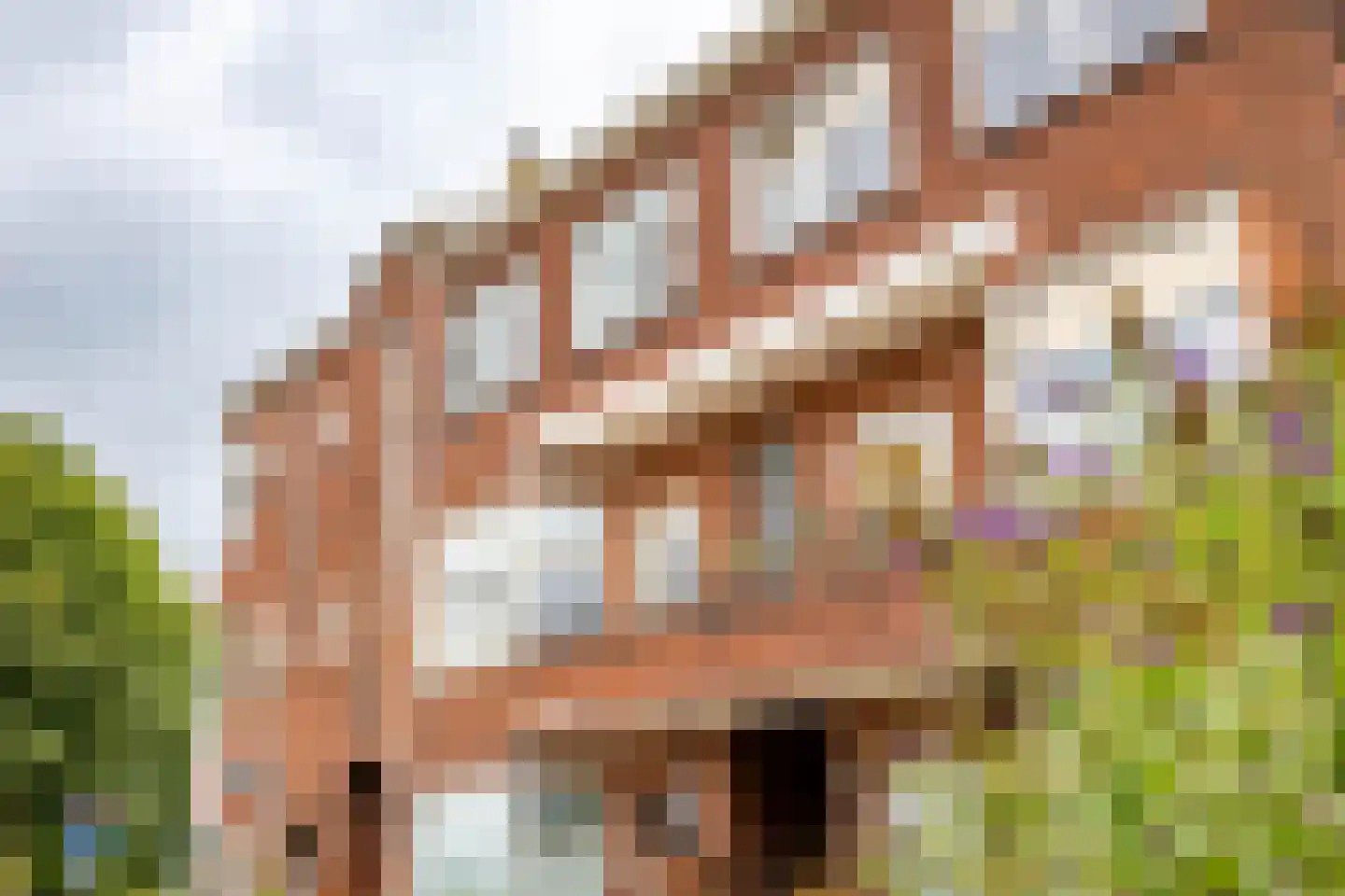 Peizerweg 83 b Groningen thumbnail 41
