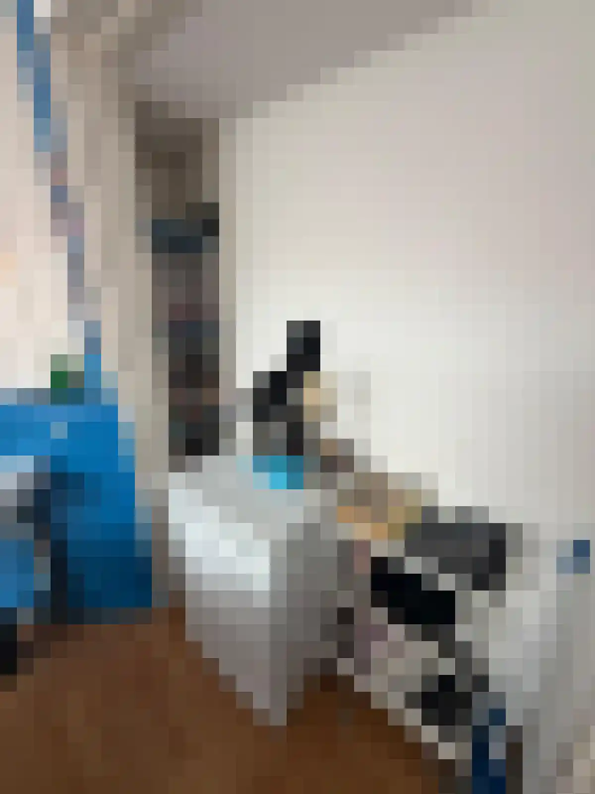 Peizerweg Groningen thumbnail 4