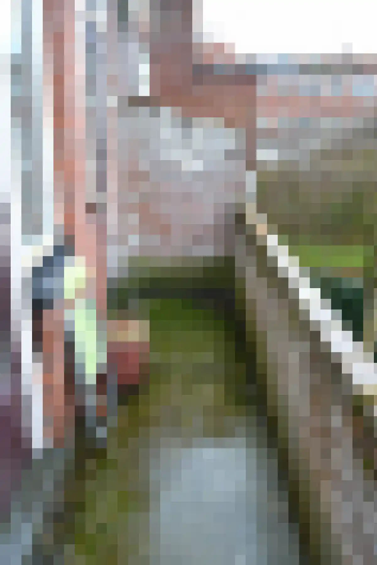 Peizerweg Groningen thumbnail 5