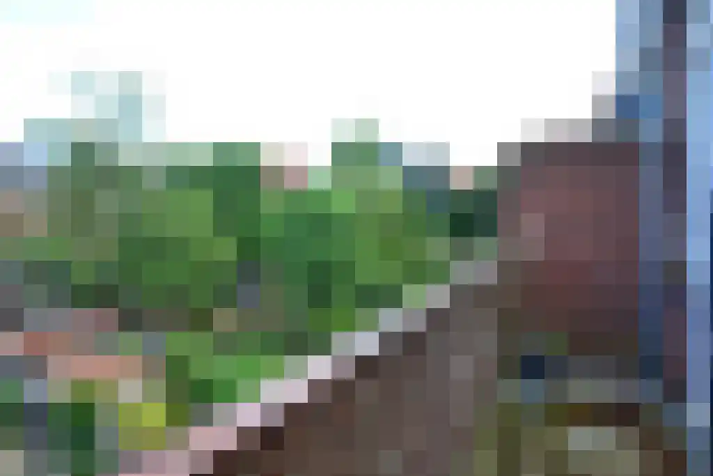 Peizerweg Groningen thumbnail 6