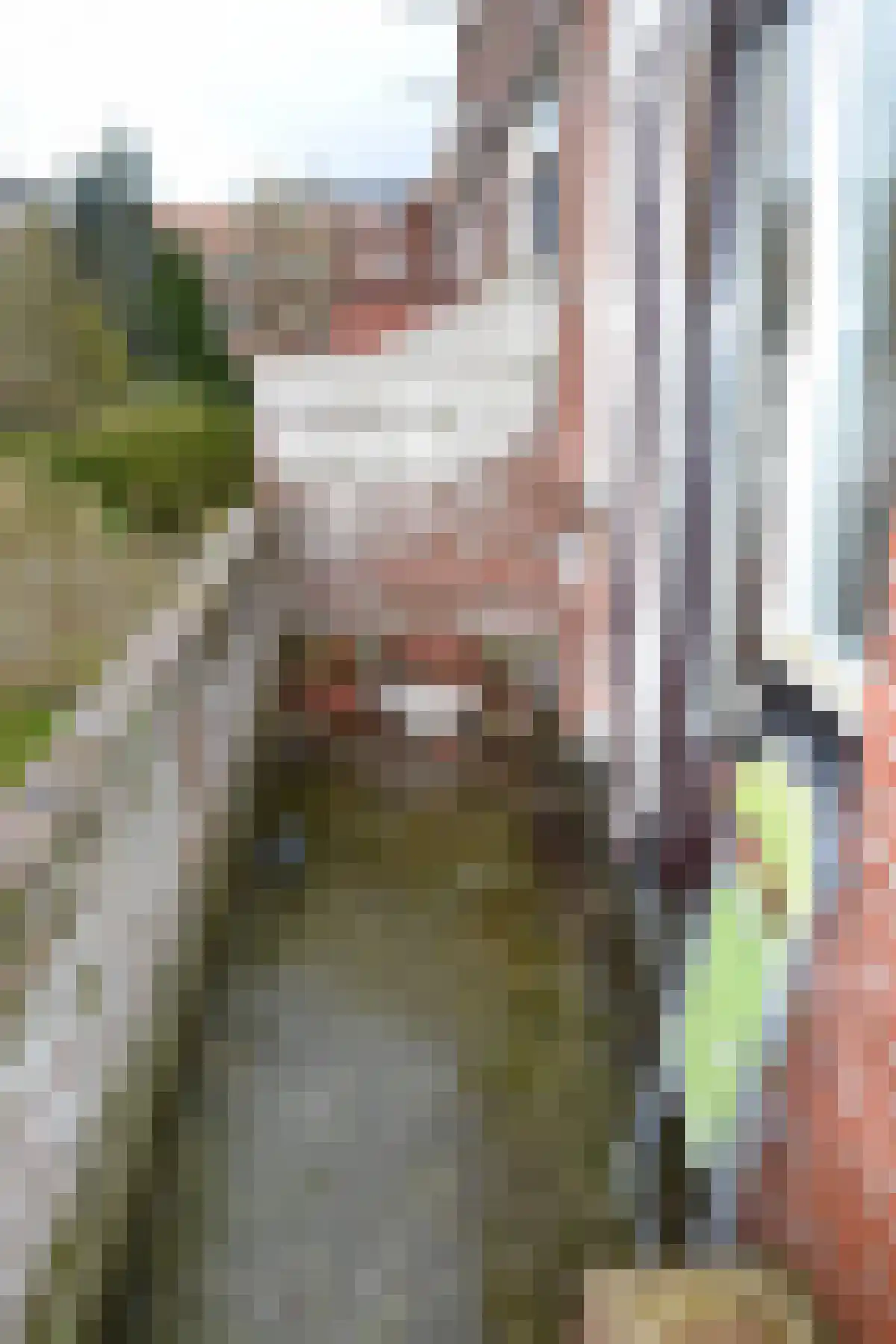Peizerweg Groningen thumbnail 6