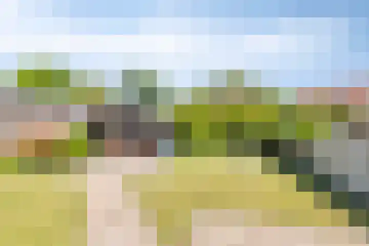 Pekelderstraat 6 Winschoten thumbnail 35