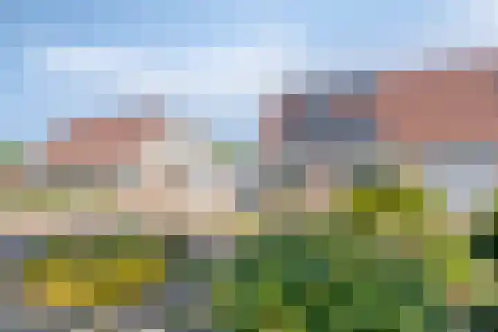Pekelderstraat 6 Winschoten thumbnail 7