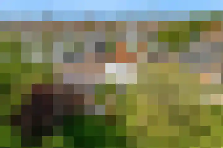 Pekelharinghaven 33 Medemblik thumbnail 37