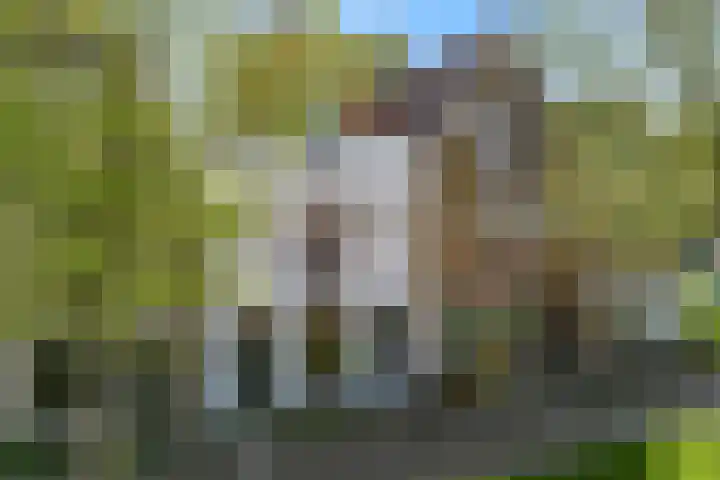 Pekelharinghaven 33 Medemblik thumbnail 38
