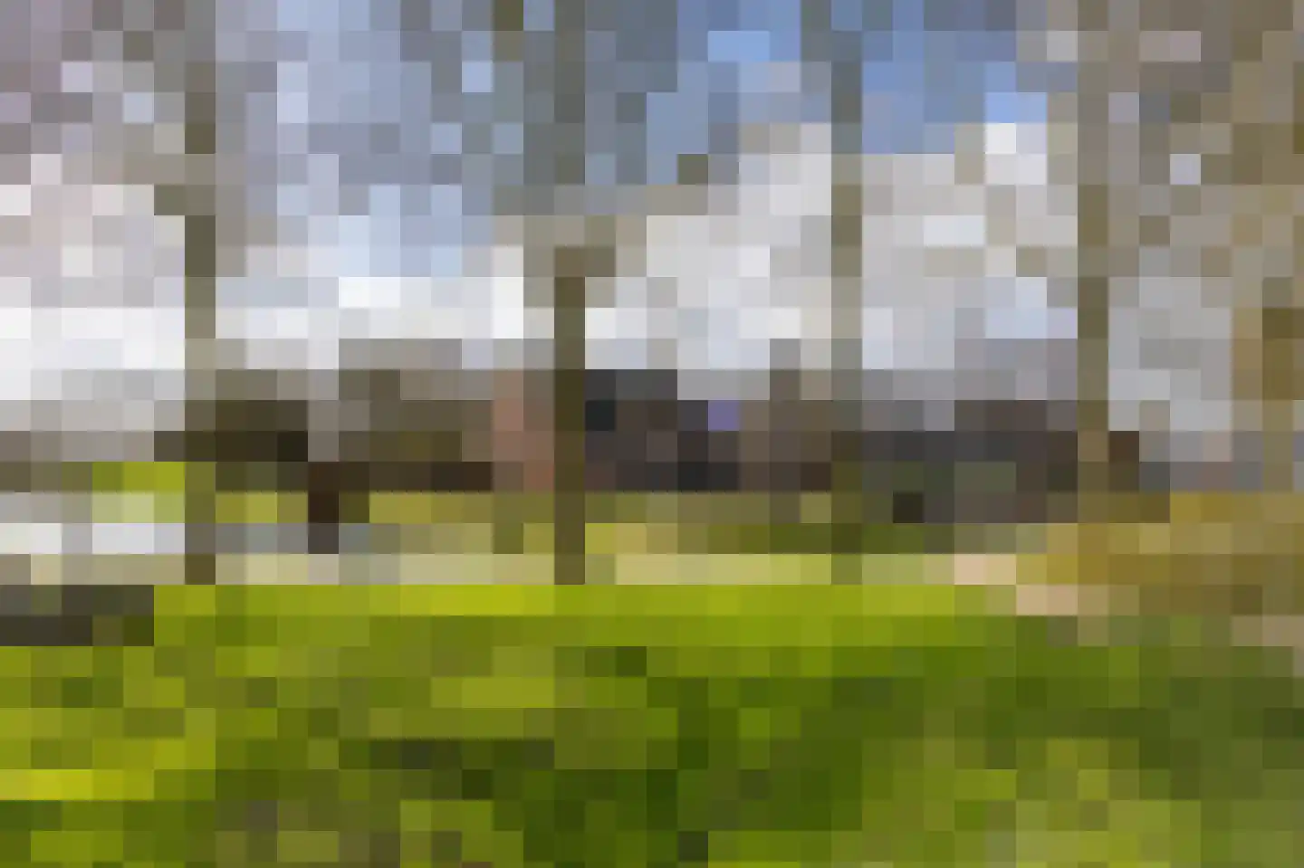 Pekelharinghaven 48 Medemblik thumbnail 28