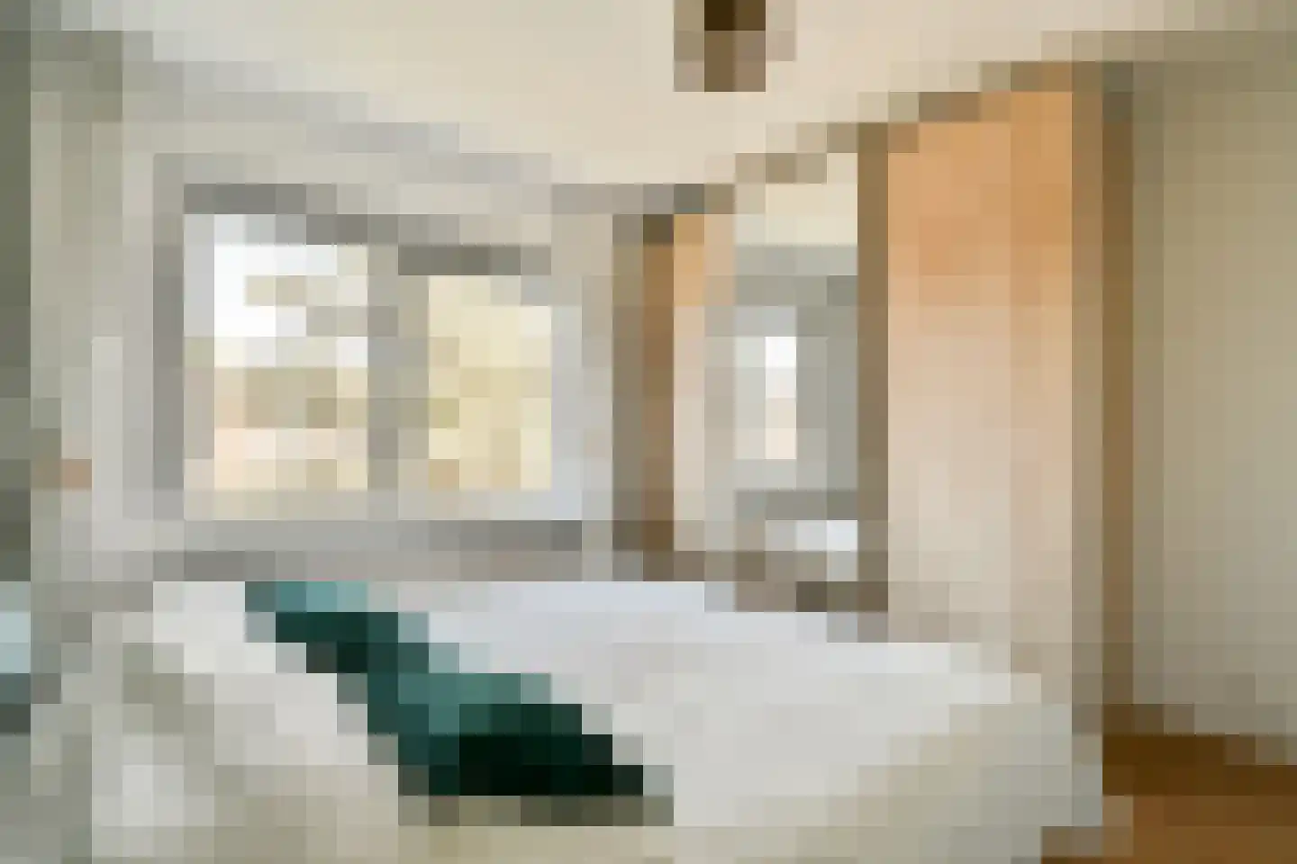 Pekelharingstraat 11 2 Amsterdam thumbnail 10