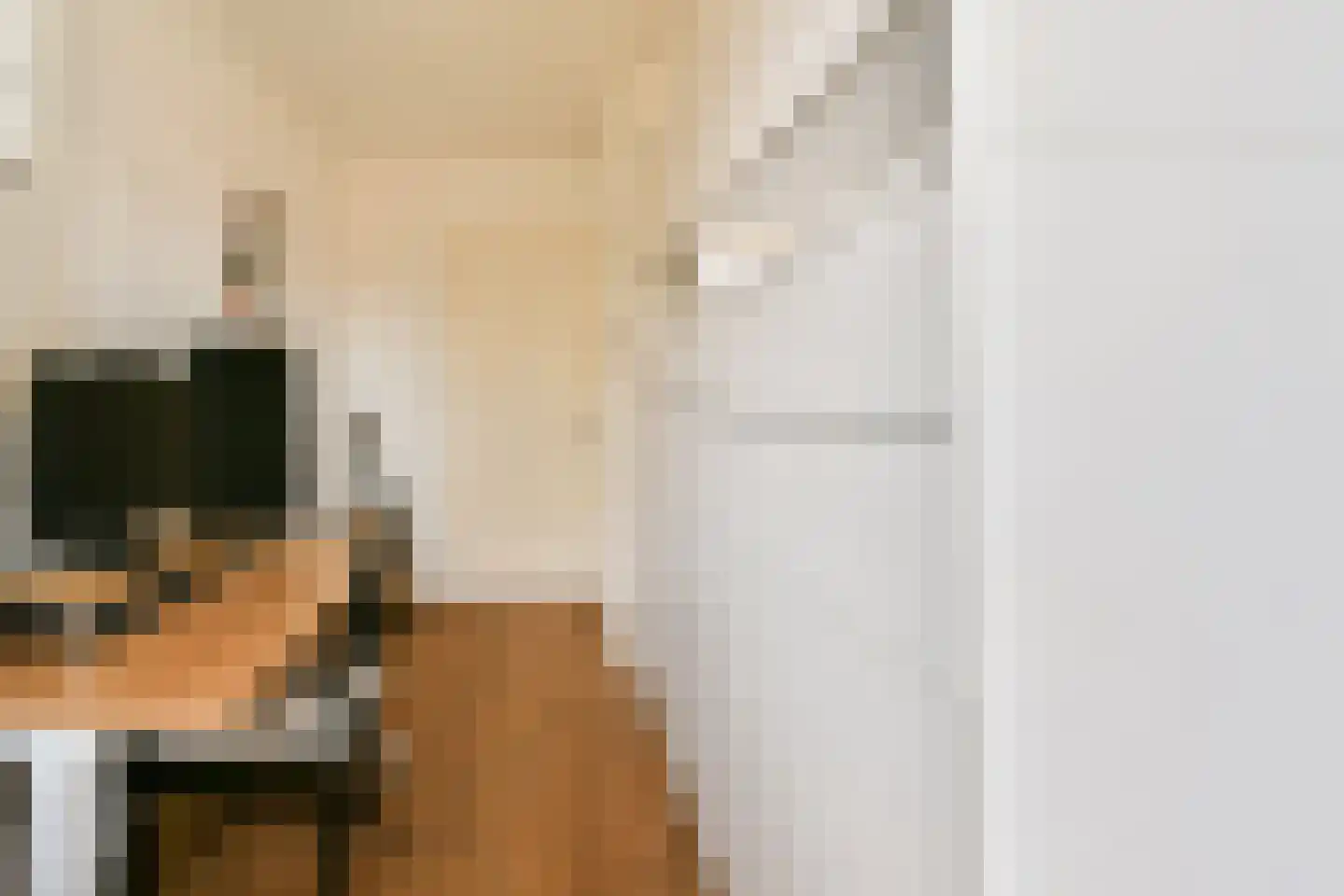 Pekelharingstraat 11 2 Amsterdam thumbnail 13