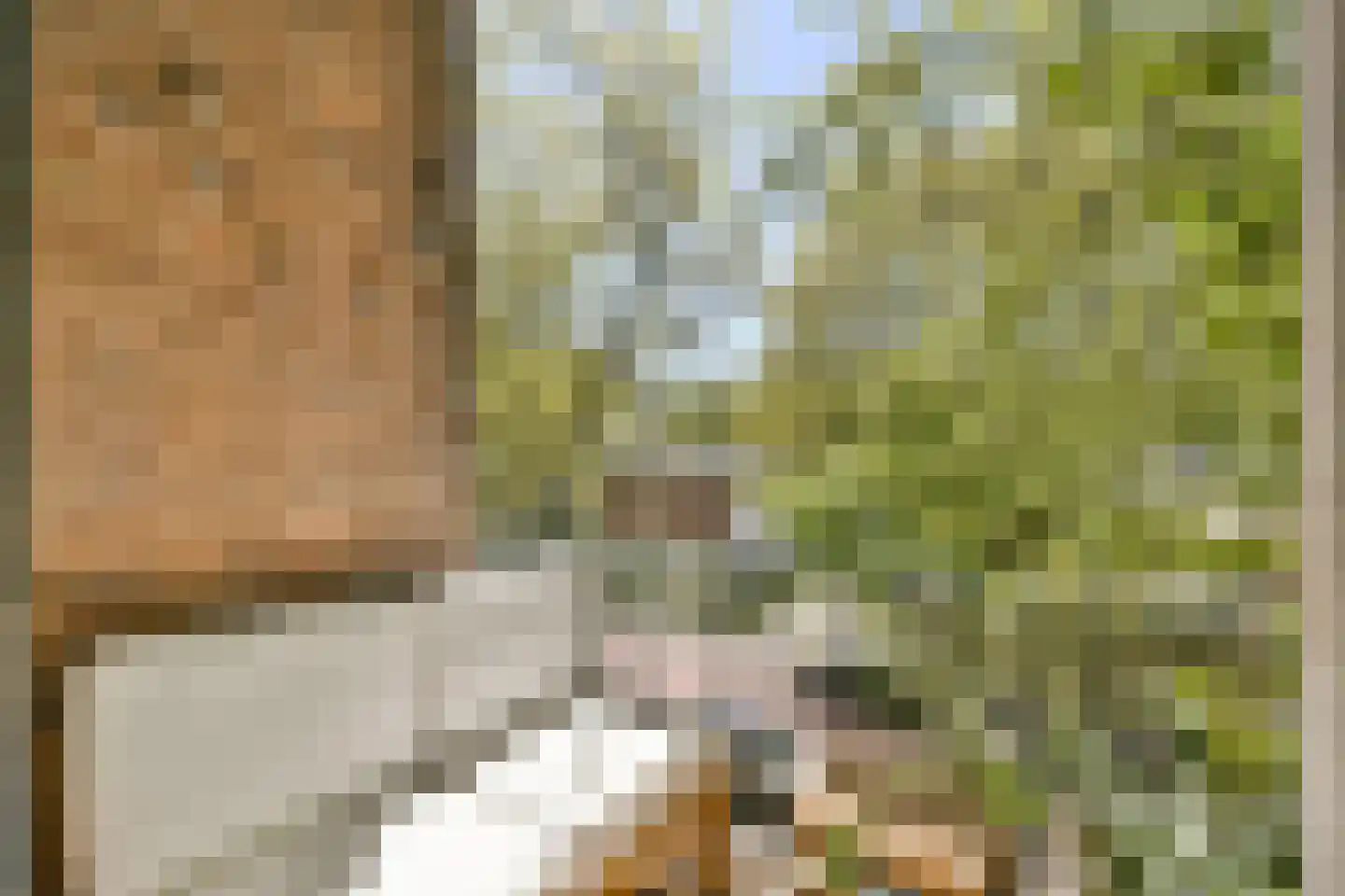 Pekelharingstraat 11 2 Amsterdam thumbnail 4