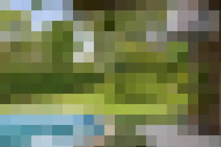 Pekelharingsweg 11 Deventer thumbnail 11