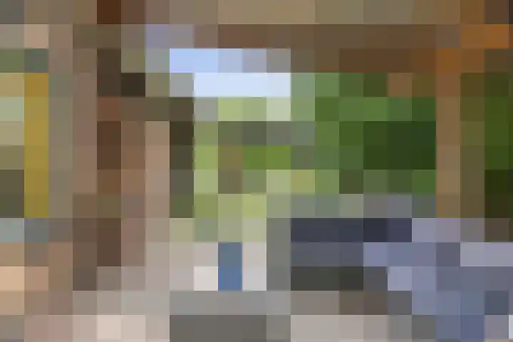 Pekelharingsweg 11 Deventer thumbnail 13