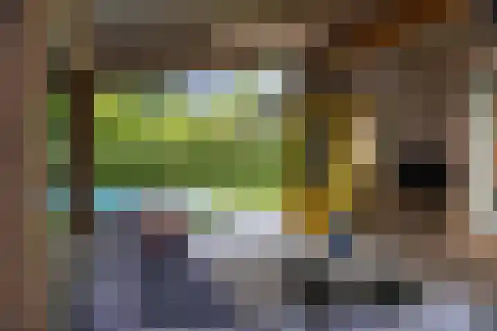 Pekelharingsweg 11 Deventer thumbnail 14