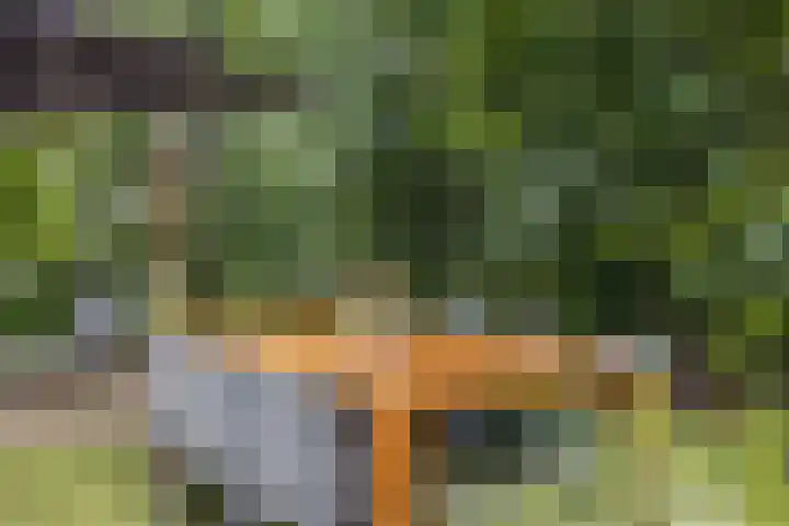 Pekelharingsweg 11 Deventer thumbnail 15