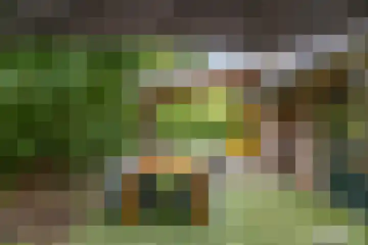 Pekelharingsweg 11 Deventer thumbnail 16