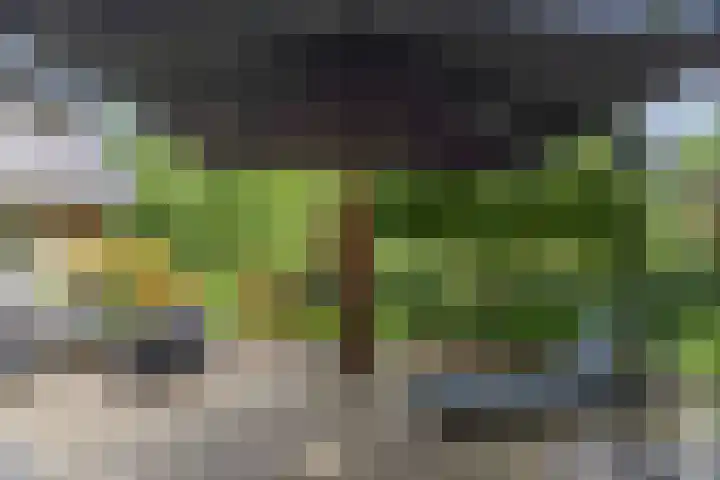Pekelharingsweg 11 Deventer thumbnail 18