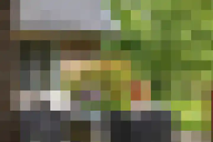 Pekelharingsweg 11 Deventer thumbnail 19