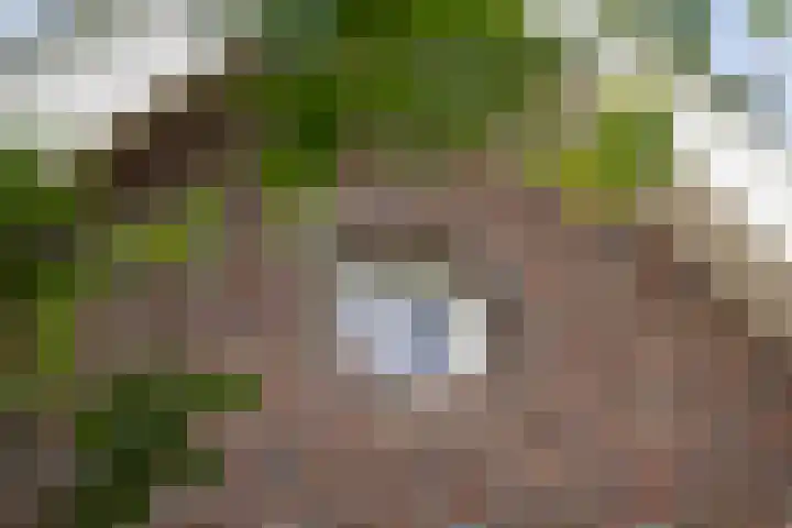Pekelharingsweg 11 Deventer thumbnail 20
