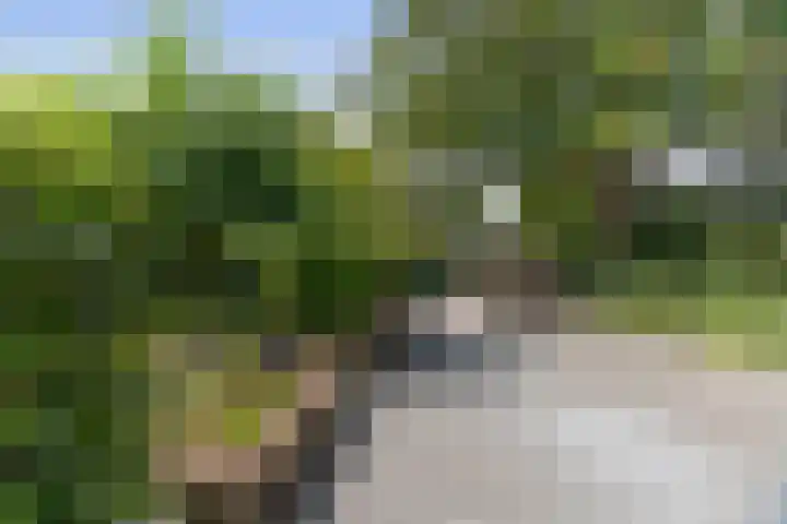 Pekelharingsweg 11 Deventer thumbnail 21