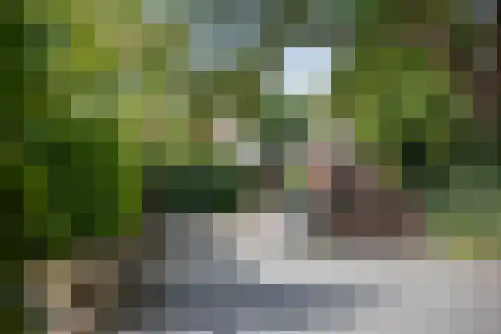 Pekelharingsweg 11 Deventer thumbnail 22
