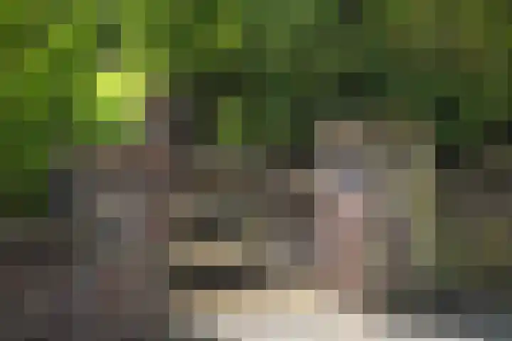 Pekelharingsweg 11 Deventer thumbnail 23