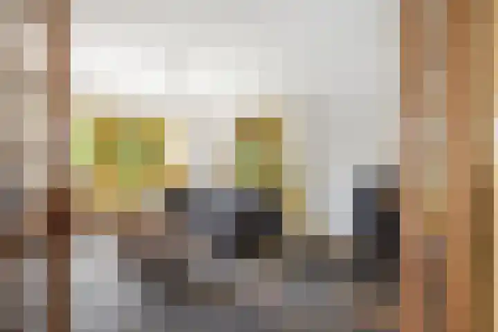 Pekelharingsweg 11 Deventer thumbnail 27