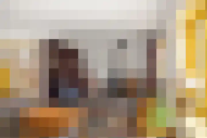 Pekelharingsweg 11 Deventer thumbnail 29