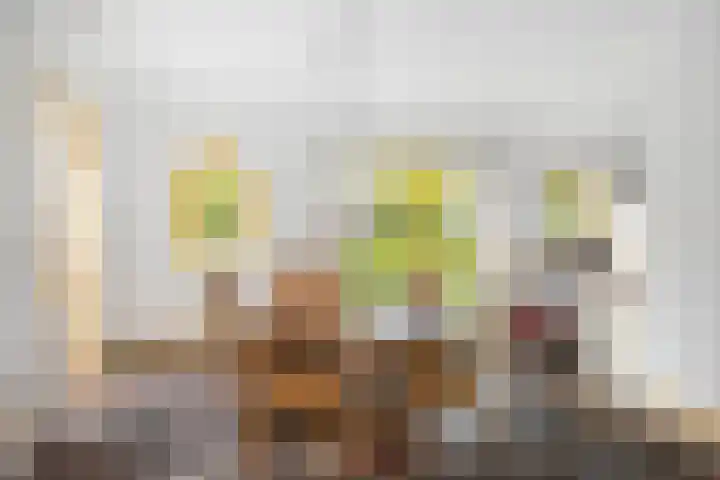 Pekelharingsweg 11 Deventer thumbnail 32