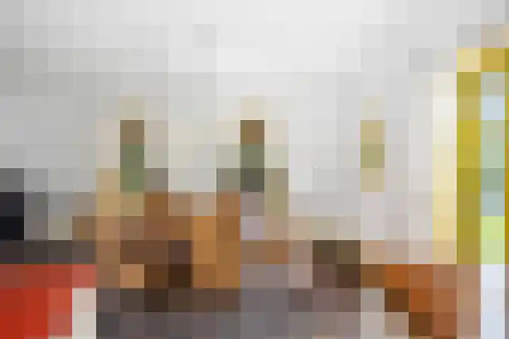 Pekelharingsweg 11 Deventer thumbnail 33